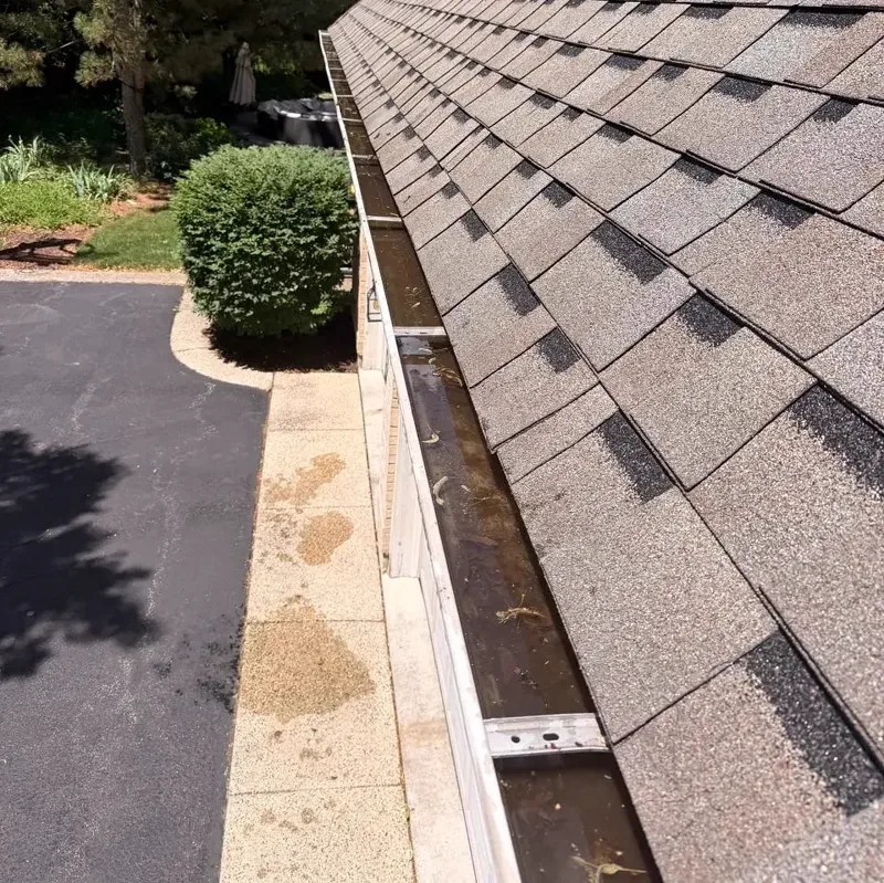 Gutter before cleaning, packed with debris and standing water